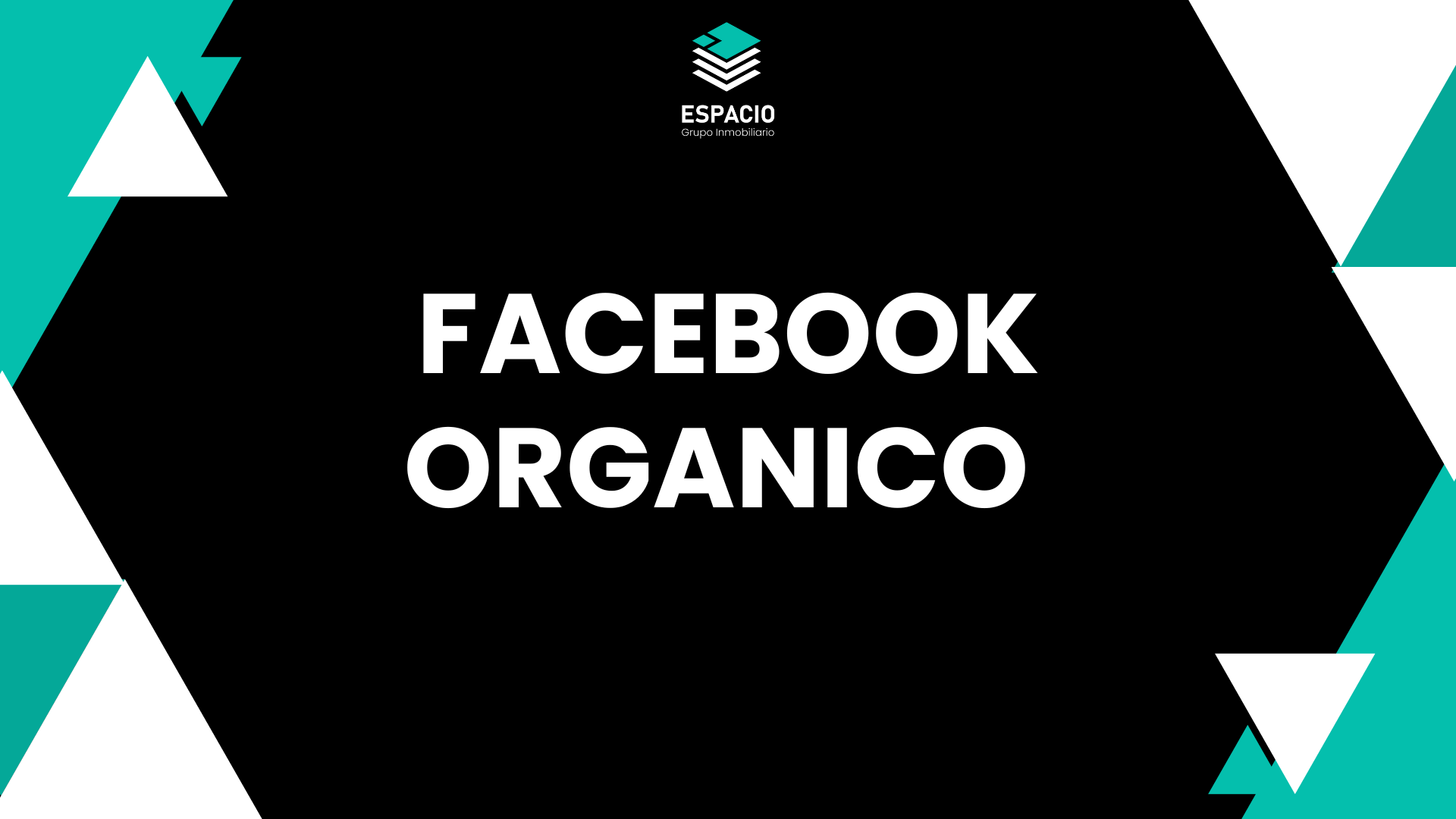 FACEBOOK ORGANICO